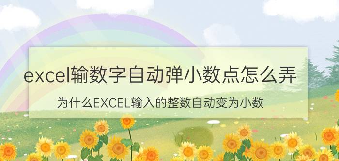 excel输数字自动弹小数点怎么弄 为什么EXCEL输入的整数自动变为小数？